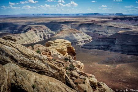 Cedar Mesa plateau drains into the San Juan River Canyon.