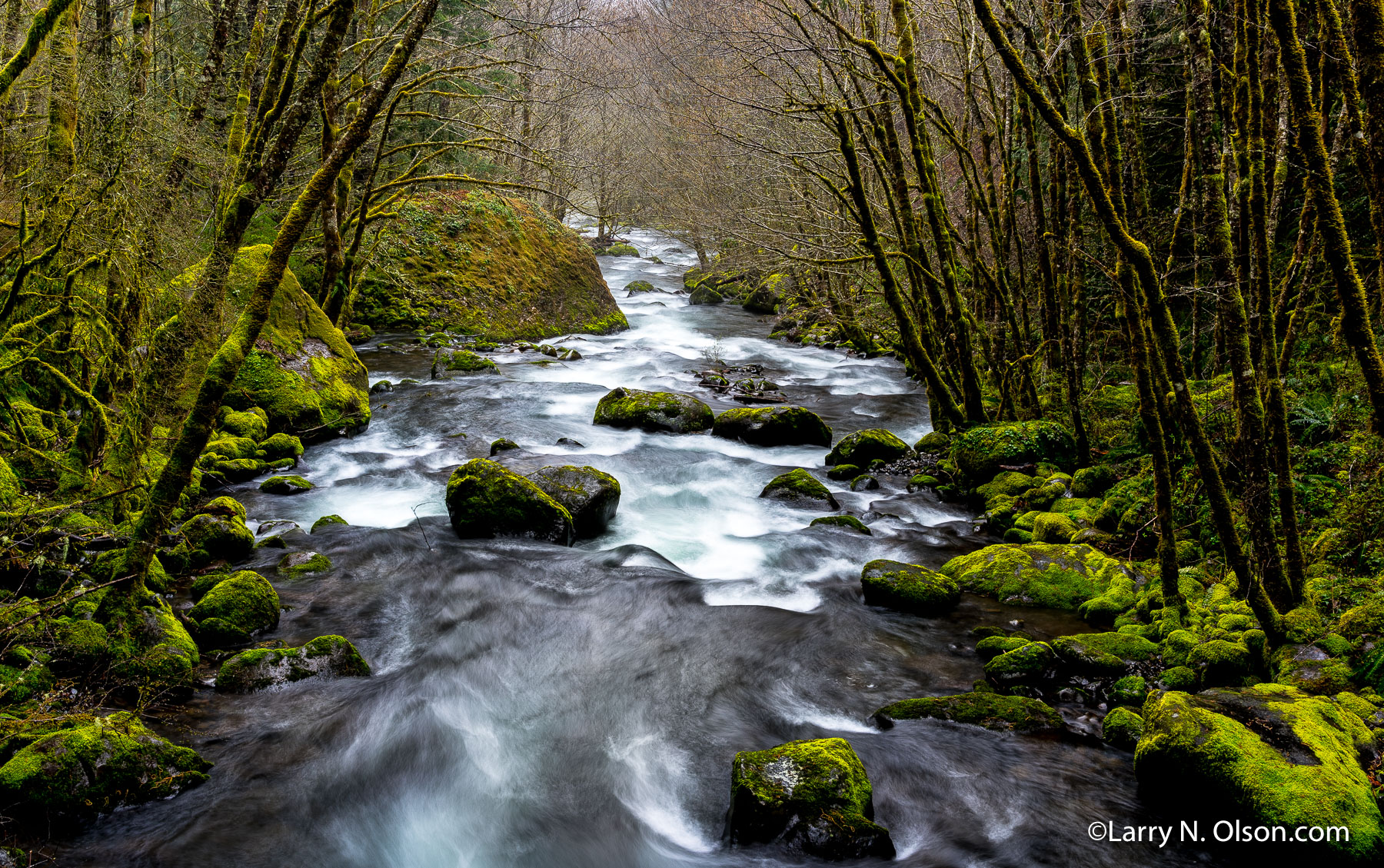 Winter, Herman Creek, Columbia River Gorge, OR | 