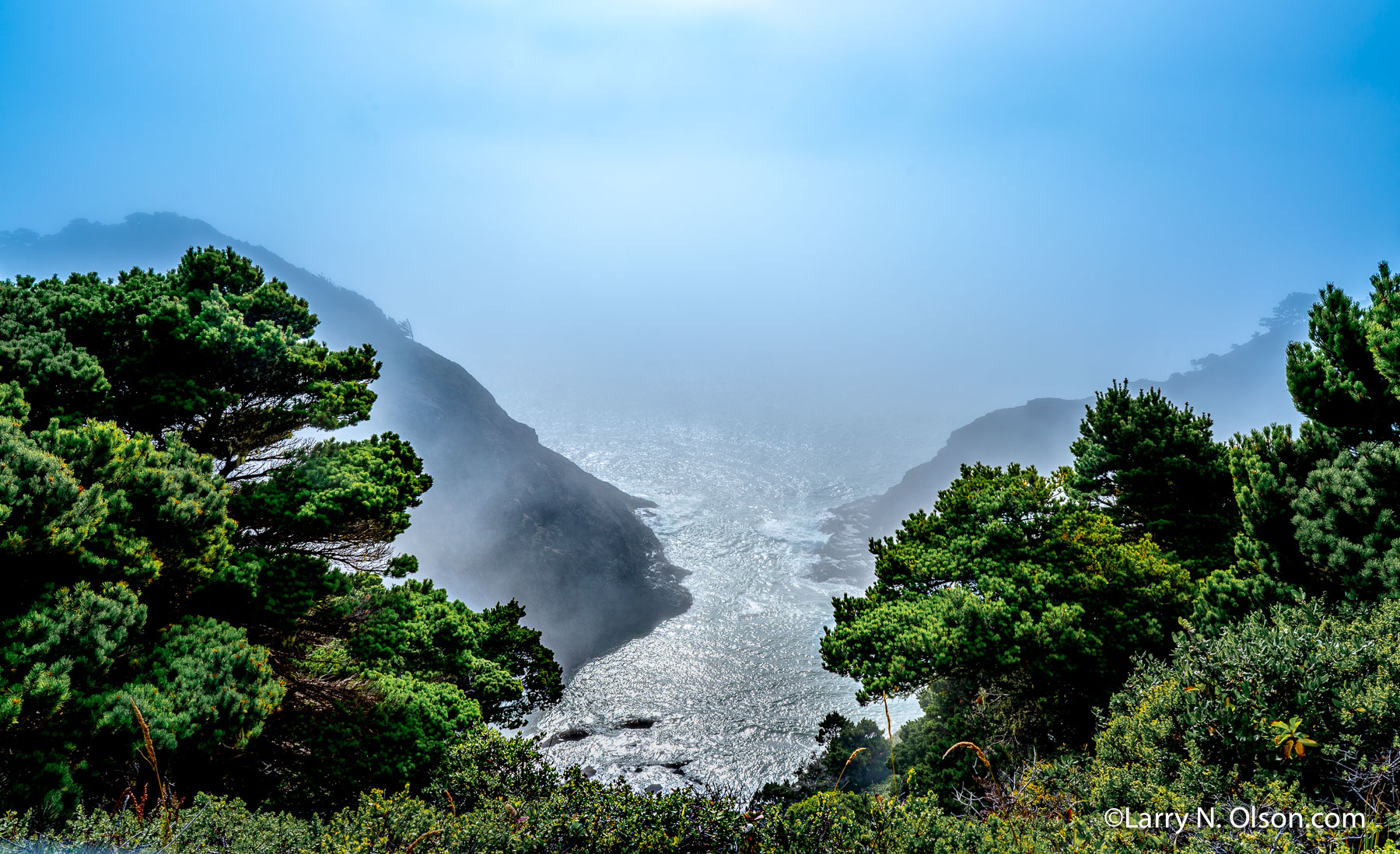 Port Orford Heads State Park, , Oregon | 