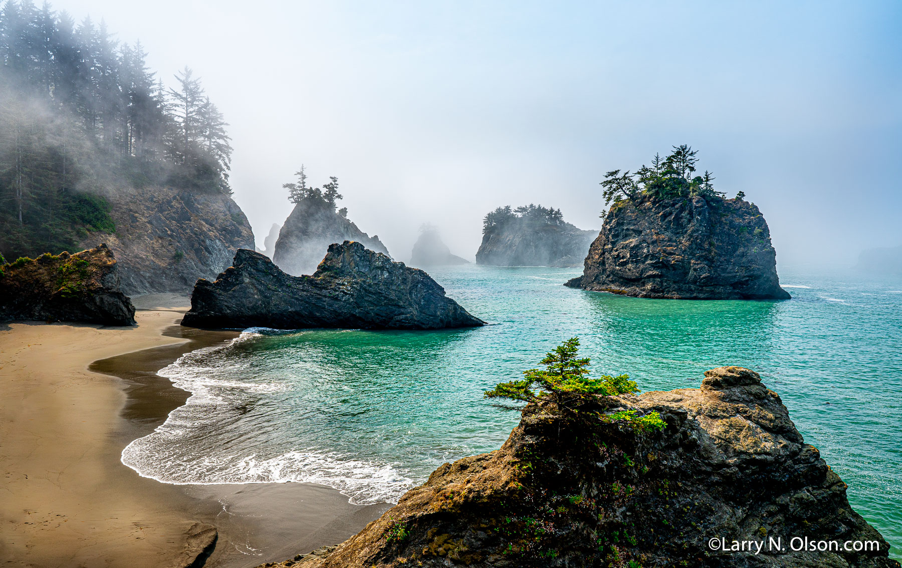 Samual Boardman State Park #2, Oregon Coast | 