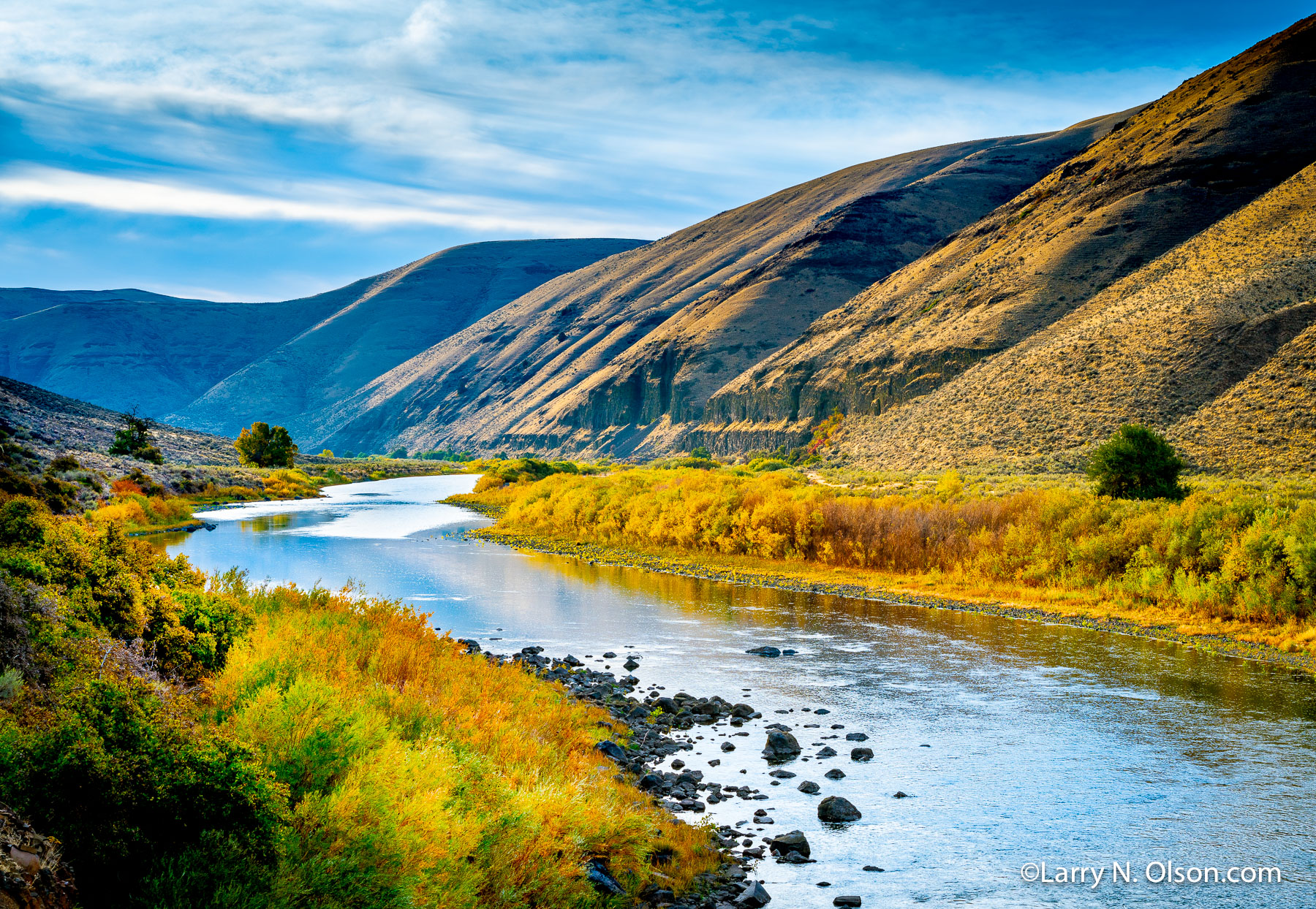 Cottonwood Canyon, John Day River, OR | Early morning in the fall along the willow lined John Day River in Oregon