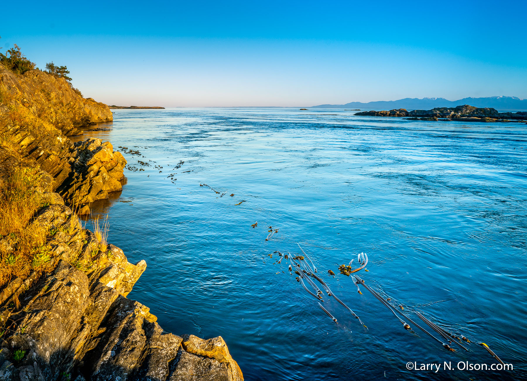 Shark Reef, Lopez Island, San Juan Islands, WA | 