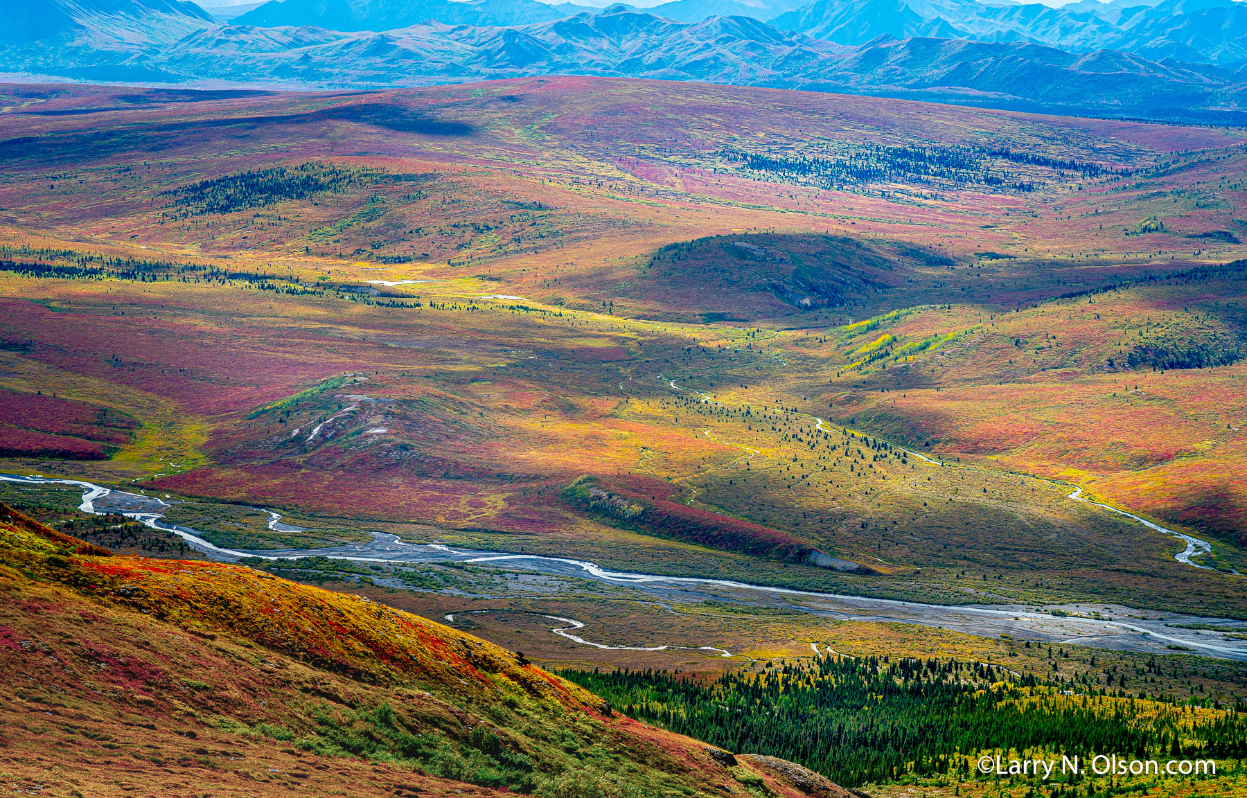 Denali Wilderness, Denali National Park, Alaska | 