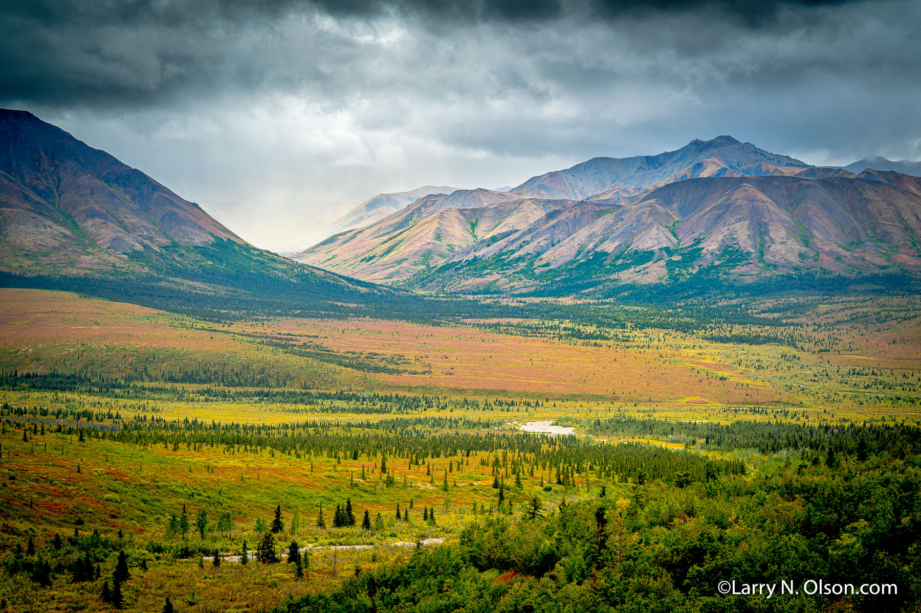 Denali Wilderness, Denali National Park, Alaska | 