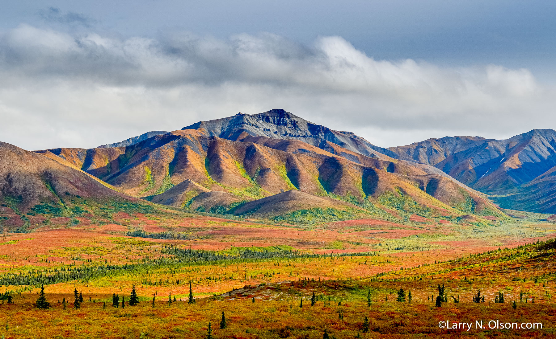 Denali Wilderness, Denali National Park, Alaska | 