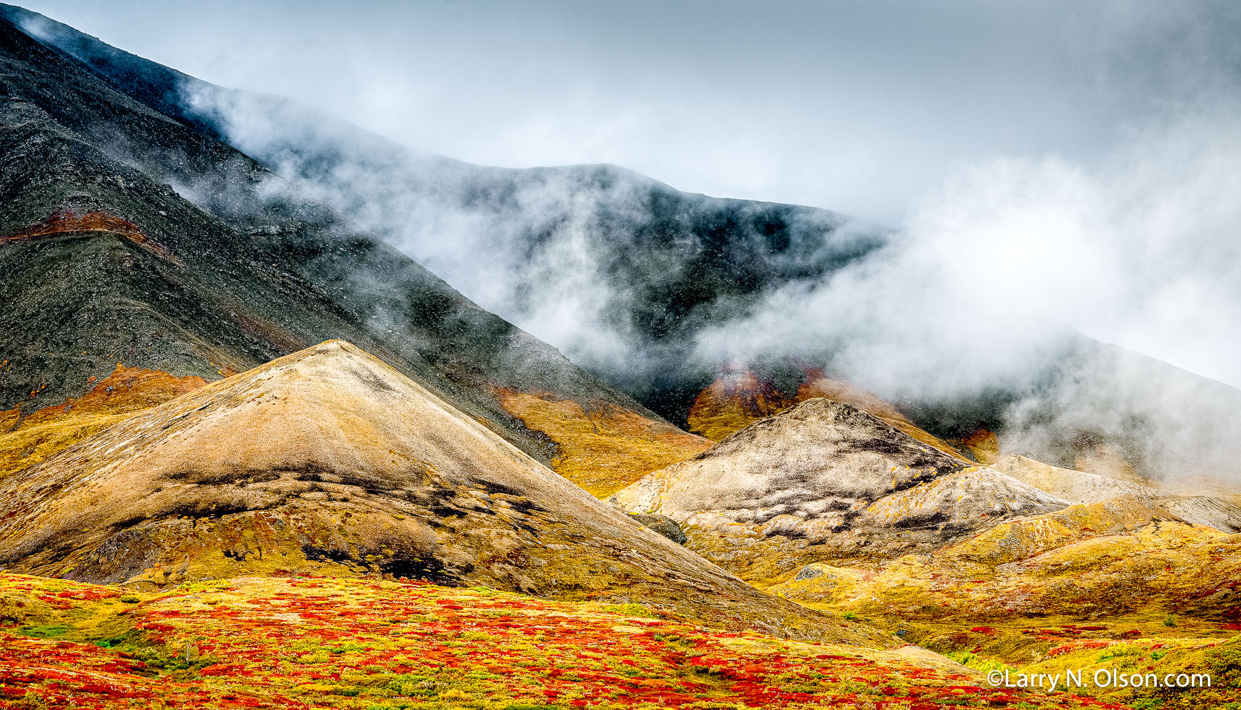 Sable Pass, Denali National Park, Alaska | 