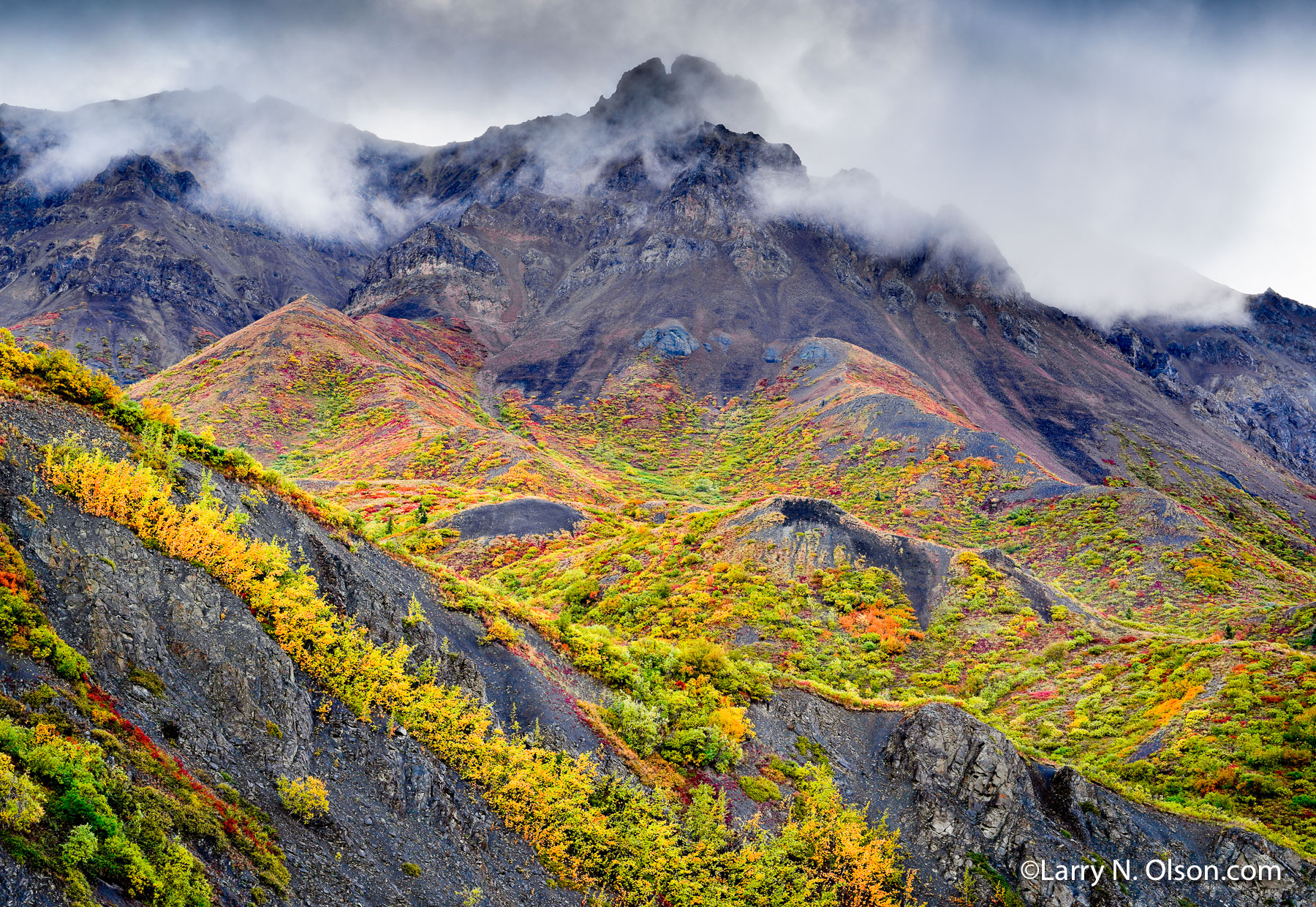 Igloo Mountain, Denali National Park, Alaska | 