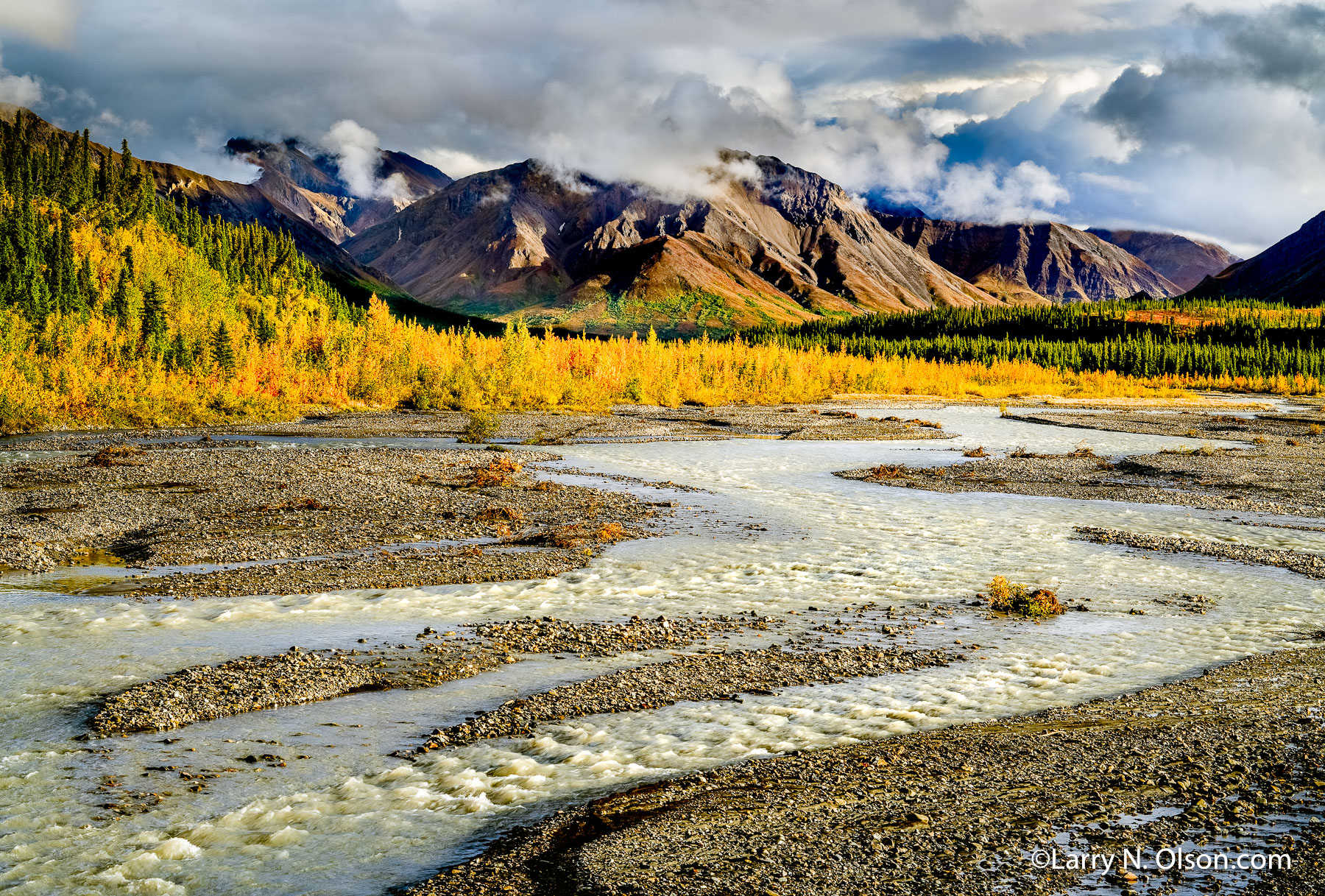 Teklanika River, Denali Wilderness, Denali National Park, Alaska | 