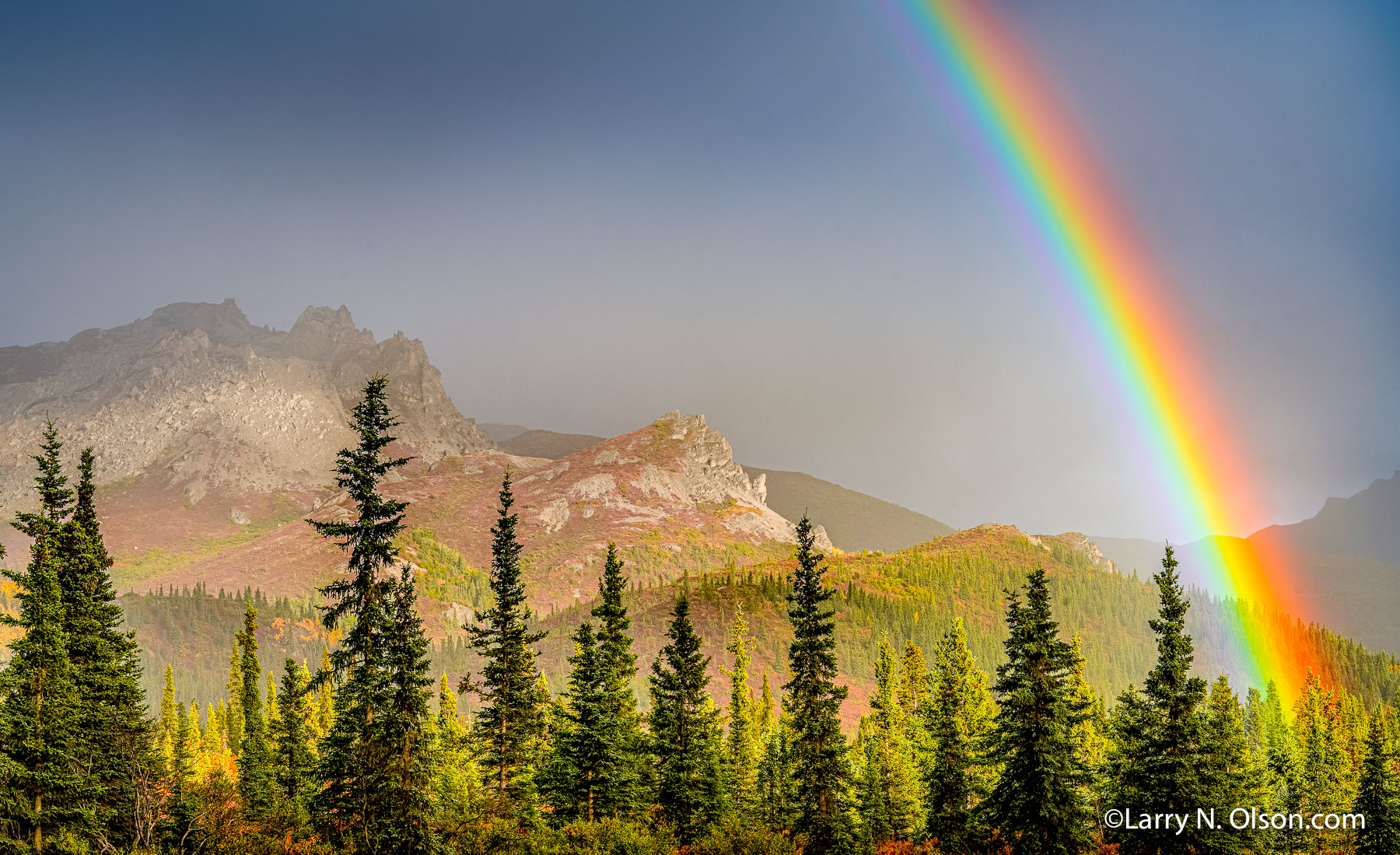 Denali Wilderness, Denali National Park, Alaska | 