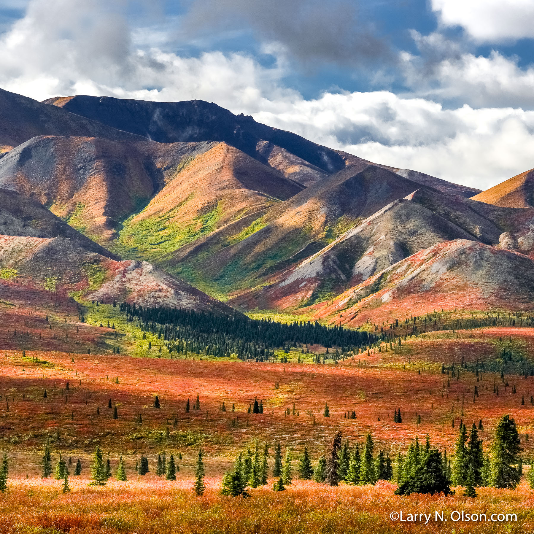 Denali Wilderness, Denali National Park, Alaska | 