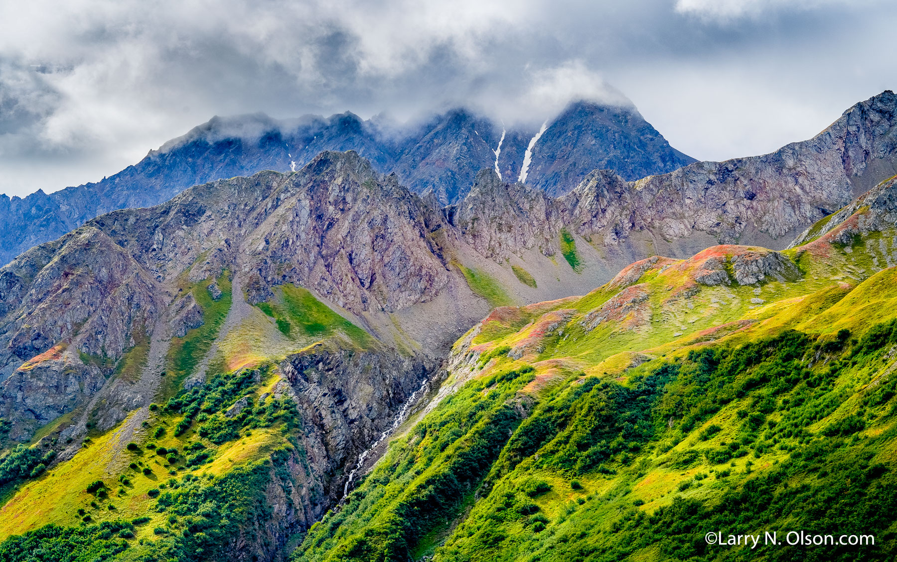 Resurrection Peaks, Kenai Mountains, Chucgach National Forest, Alaska | 