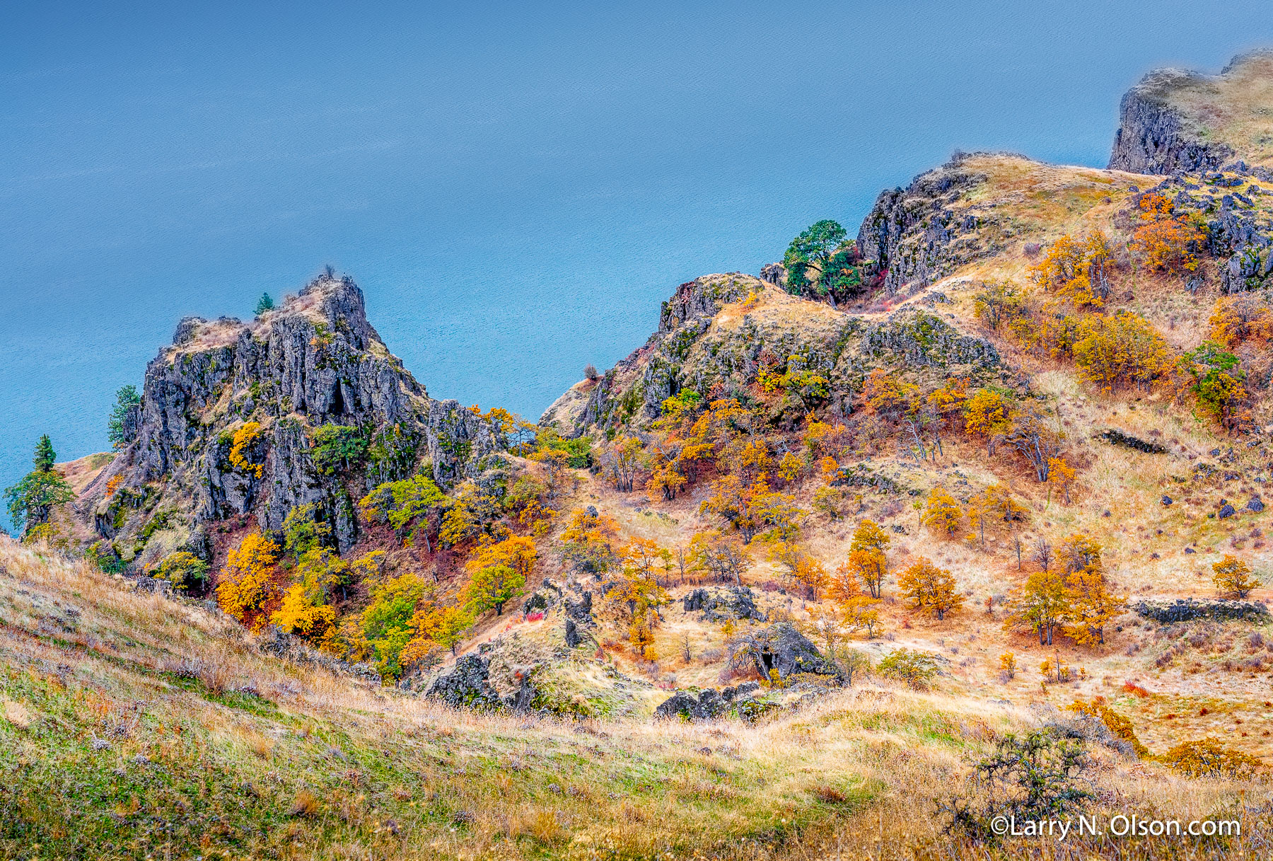 Oaks, Columbia River Gorge, Lyle, Washington | 