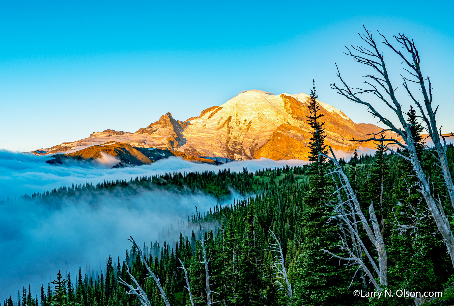 Sunrise Clouds, Mount Rainier, WA | 