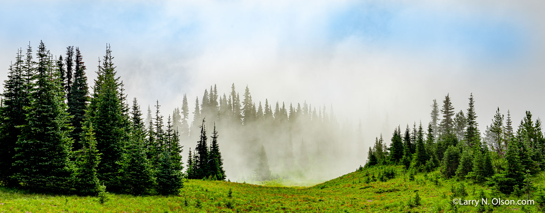 Sunrise Clouds, Mount Rainier National Park, WA | 