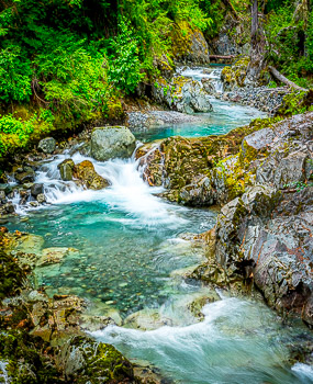 Ohanapecosh River, Mount Rainier National Park, WA | The crystline clear water of  Ohanapecosh River flows through an old growth forest,