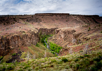 Whychus Creek, Alder Springs,  Oregon | 