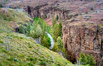 Whychus Creek, Alder Springs,  Oregon | 