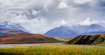 East Fork, Toklat River, Alaska Range, Denali National Park, Alaska | 