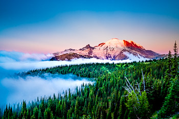 Mount Rainier National Park, WA | Fog fills the low valleys as sunrise illuminates alpenglow on Mount Rainier.