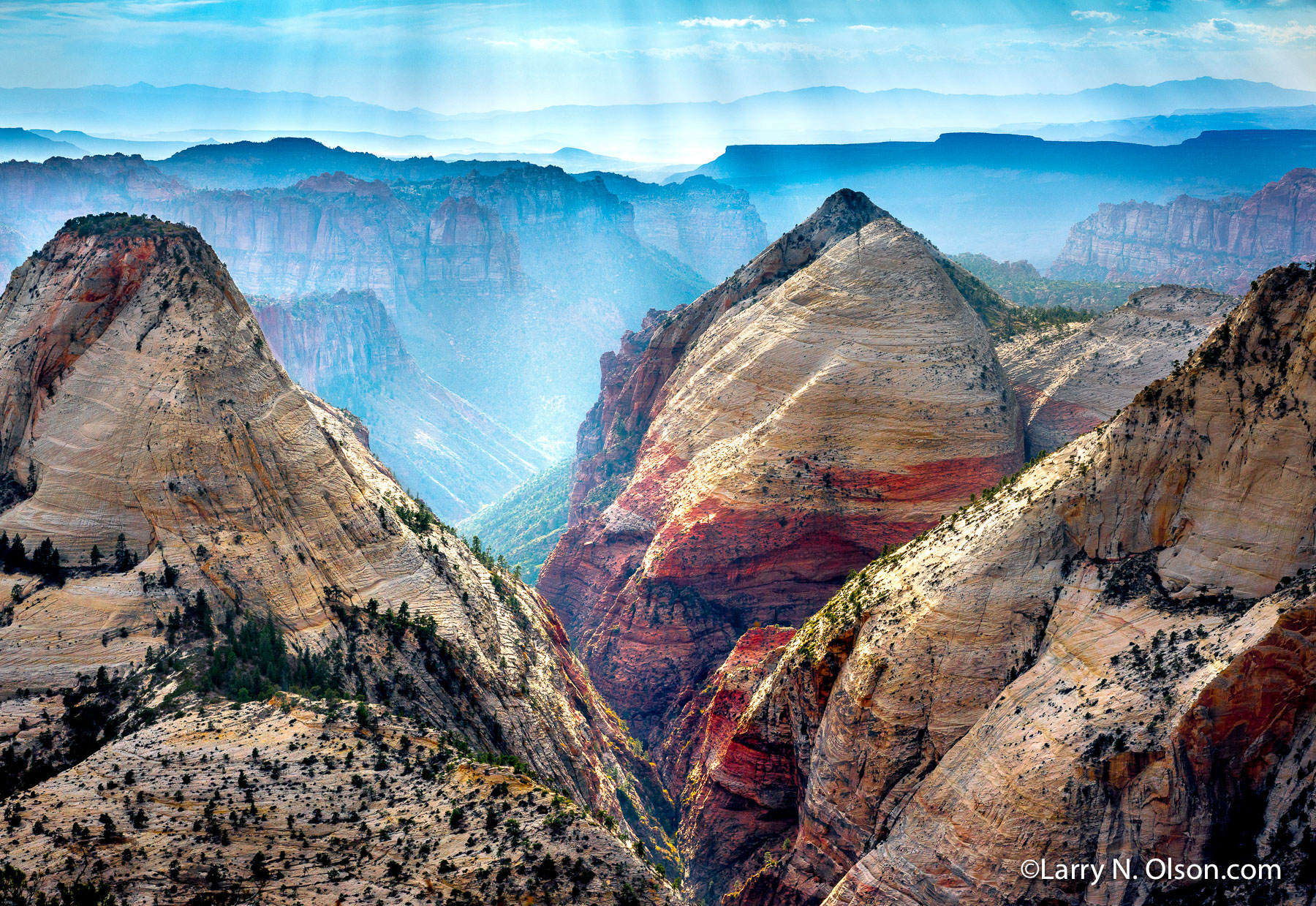 Right Fork , North Creek, Zion National Park, UT | 