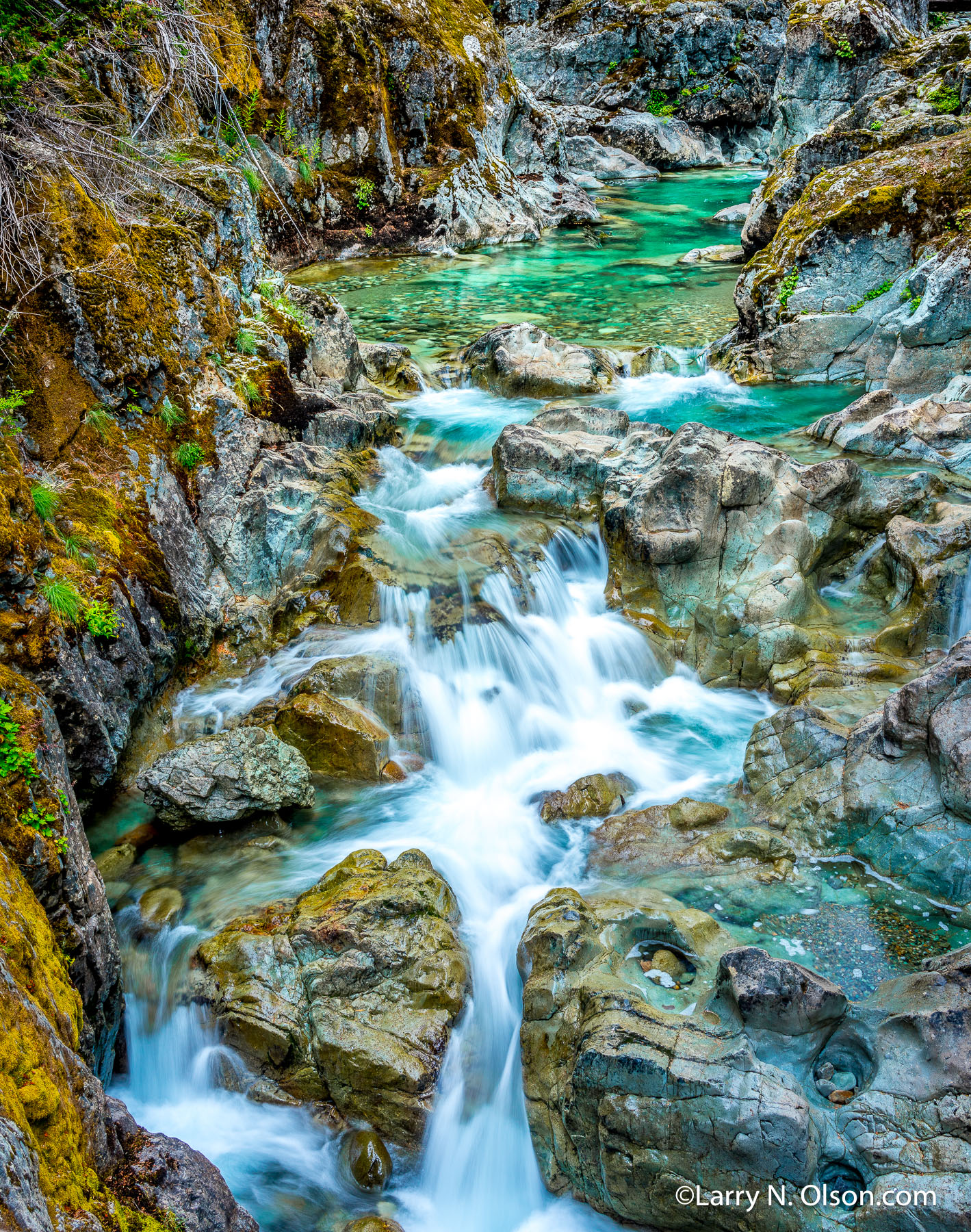 Ohanapecosh River, Mount Rainier National Park, WA | The crystline clear water of  Ohanapecosh River flows through an old growth forest,