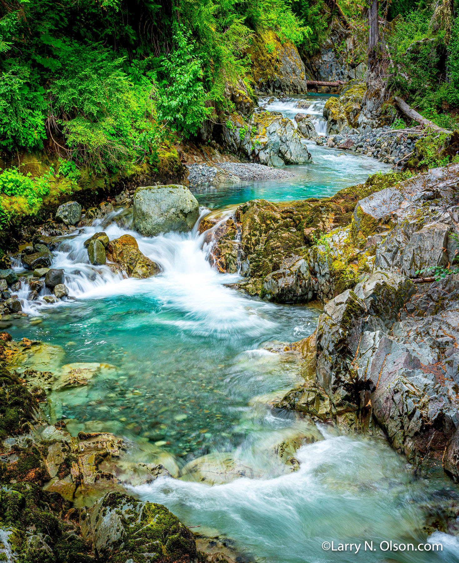 Ohanapecosh River, Mount Rainier National Park, WA | The crystline clear water of  Ohanapecosh River flows through an old growth forest,