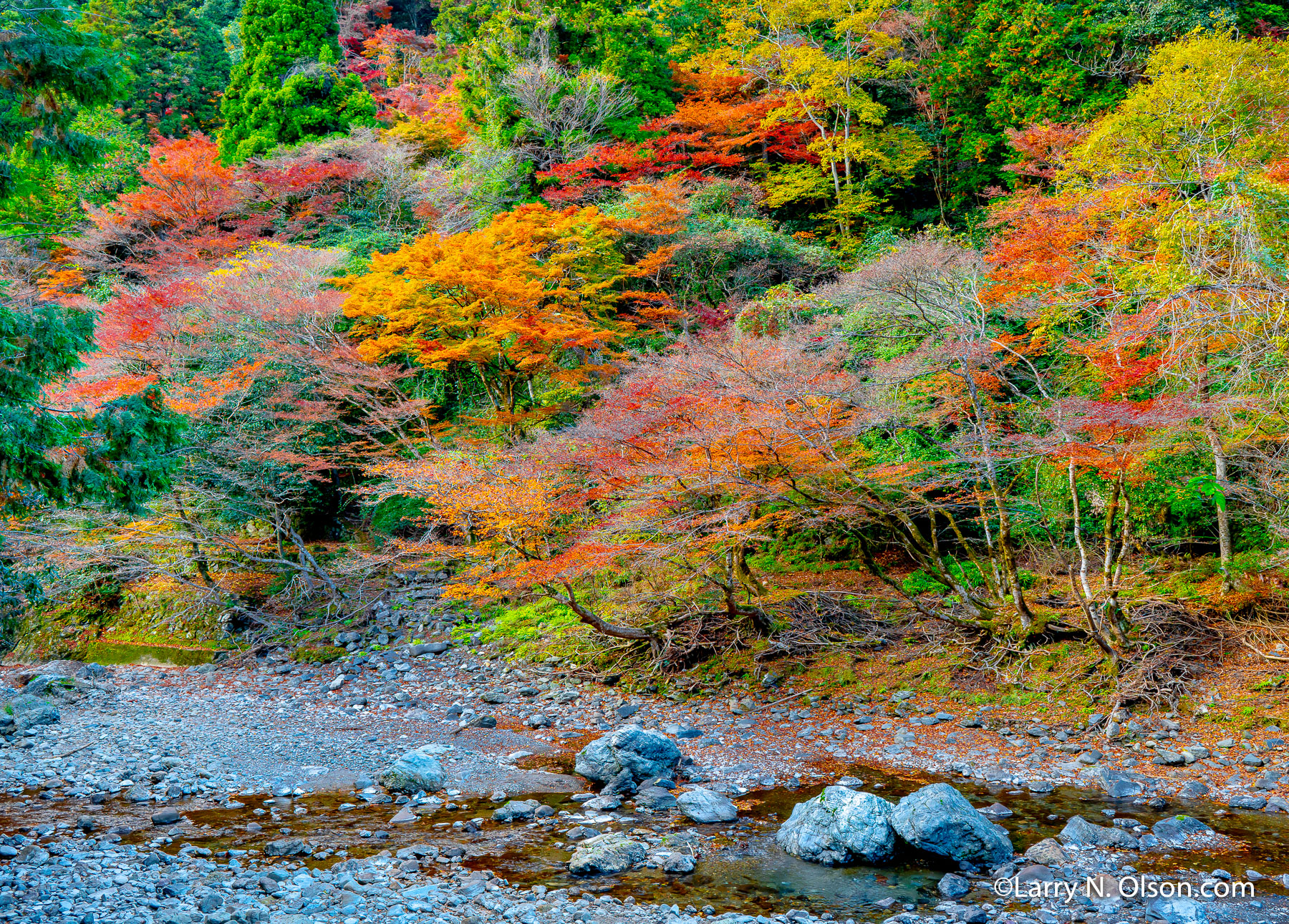 Autumn, Kiyotaki River, Kyoto, Japan | 