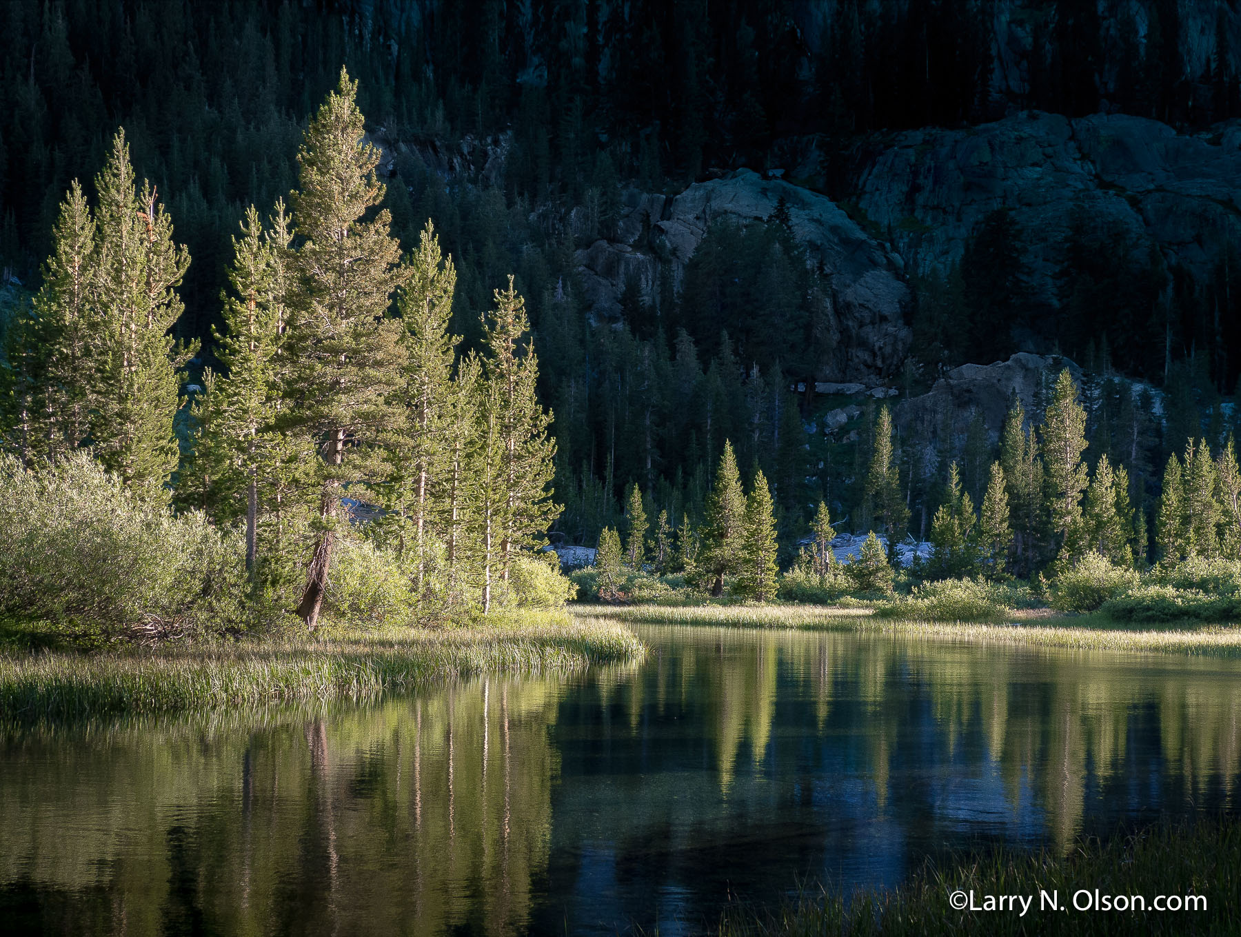 Shadow Creek, Ansel Adams Wilderness, Ca. | The setting sun highlights the riparian zone along Shadow Creek.