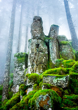 Basalt Pillars, Ruckel Ridge, Columbia Gorge, OR | Fog shrouds columnar basalt towers at Ruckle Ridge.