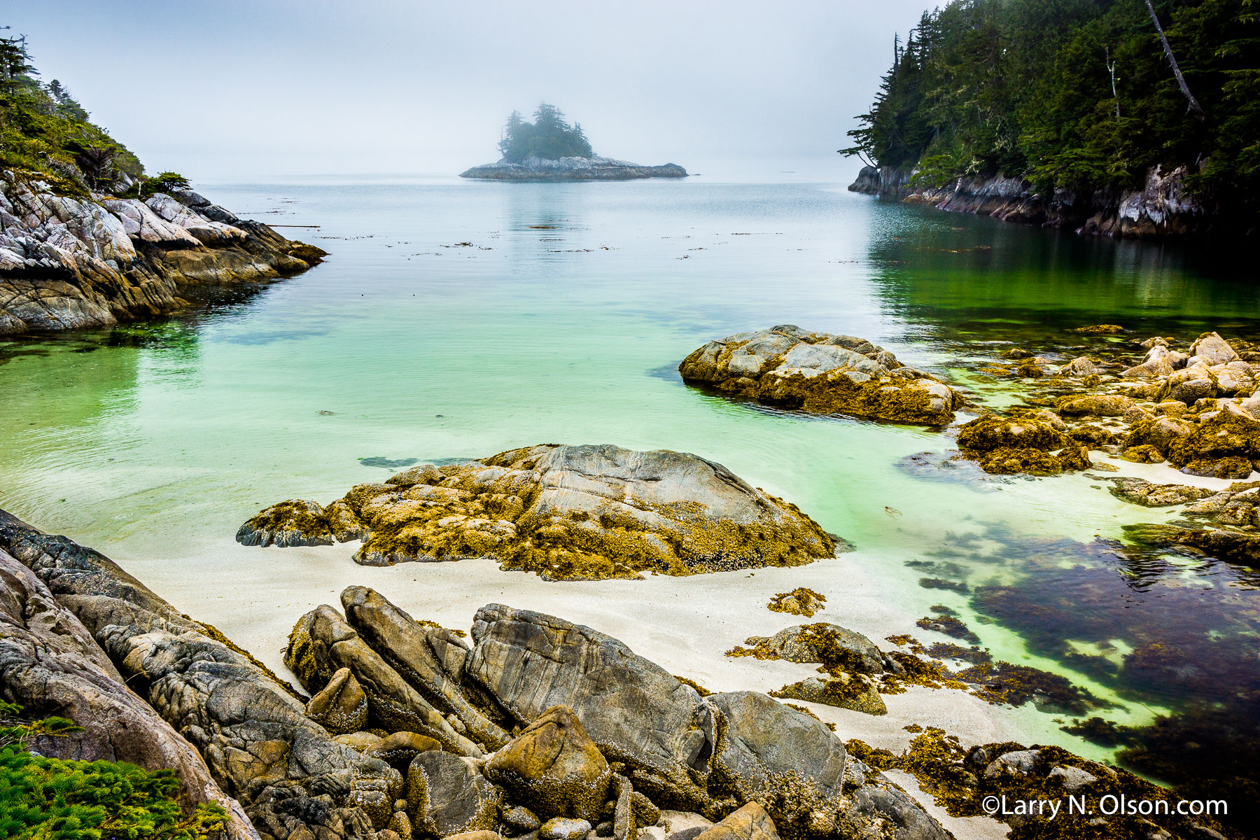 Low Tide Hakai, BC | A quiet bay in Hakai Luxvbalis Conservancy Area, BC.