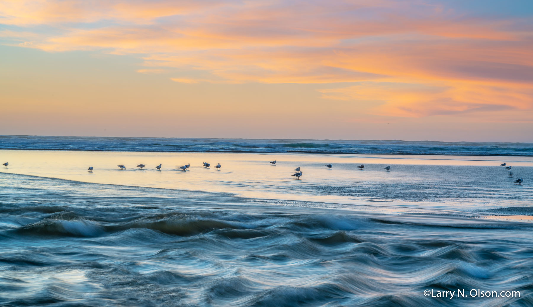 Ecola Creek, Cannon Beach, OR | Gulls on the beach at sunset.