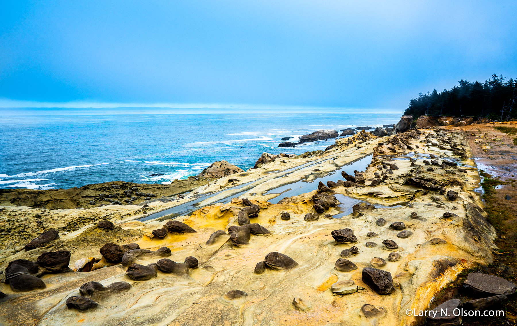 Shore Acres State Park, Oregon Coast | 