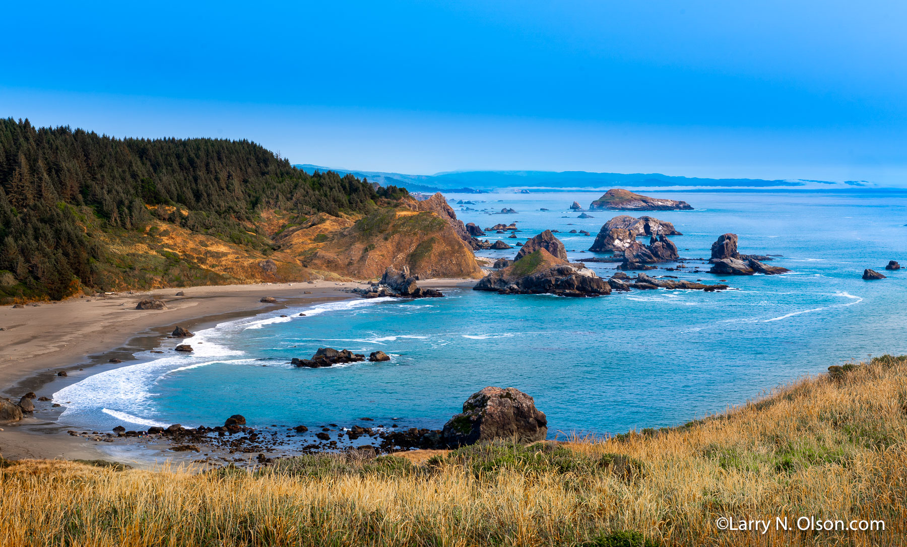 Samual Boardman State Park #1, Oregon Coast | 