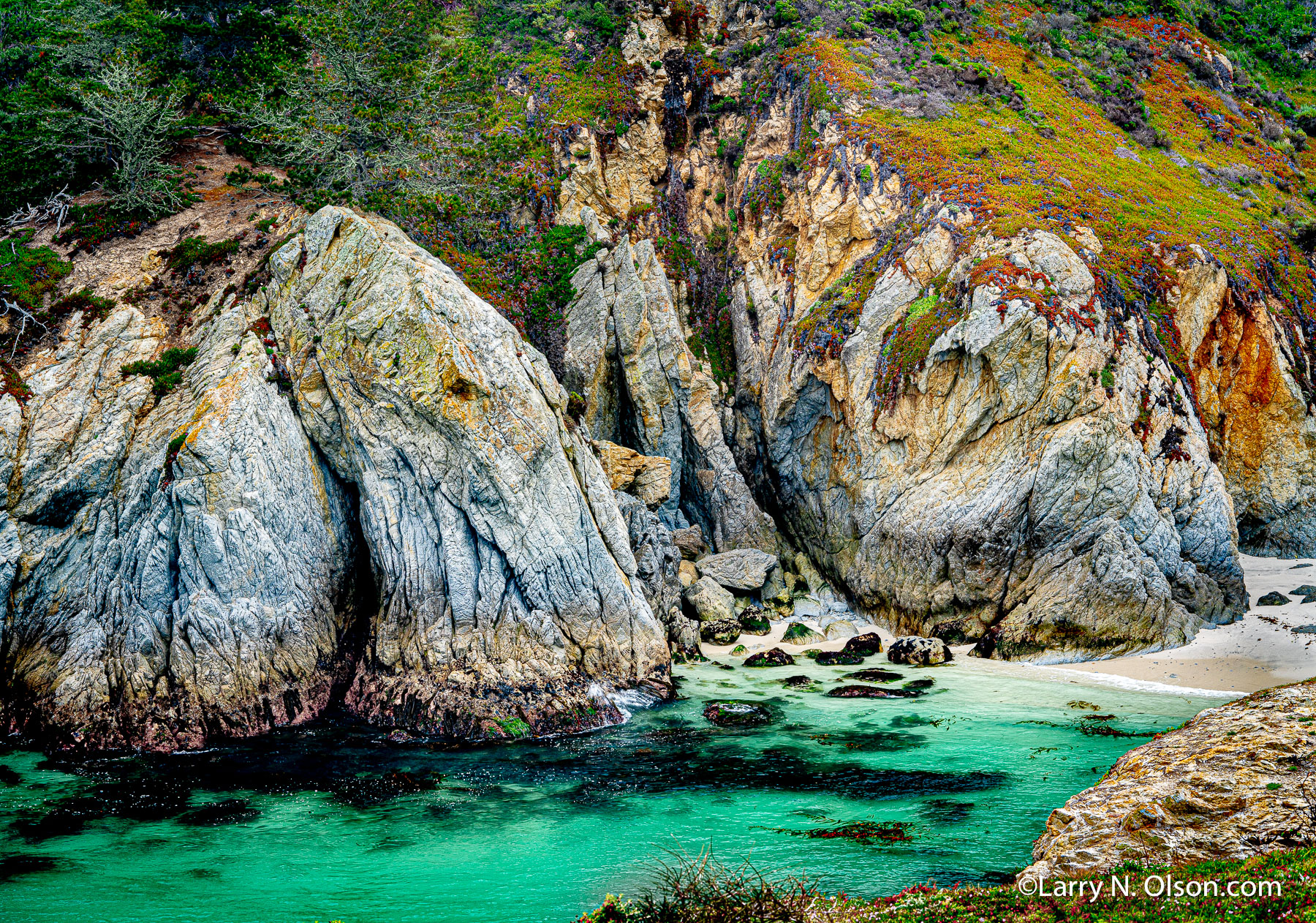 Point Lobos State Natural Reserve, CA | 