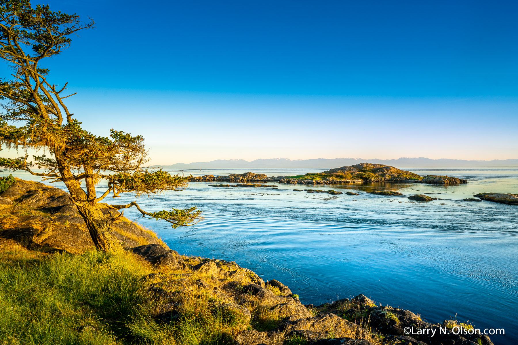 Shark Reef, Lopez Island, San Juan Islands, WA | 