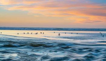 Ecola Creek, Cannon Beach, OR | Gulls on the beach at sunset.