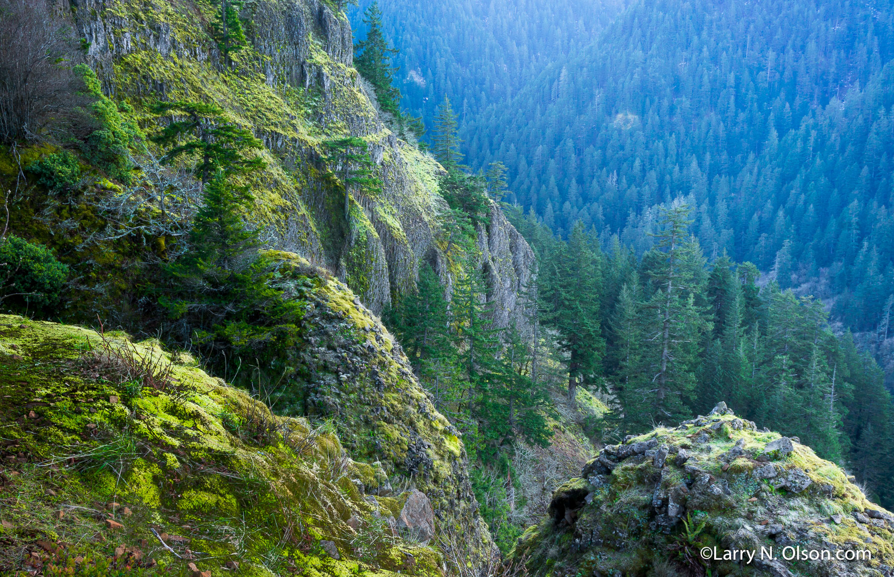 Basalt Cliffs, Eagle Creek, OR | Moss covers balatlt cliffs high above Eagle Creek in the Columbia River Gorge.
