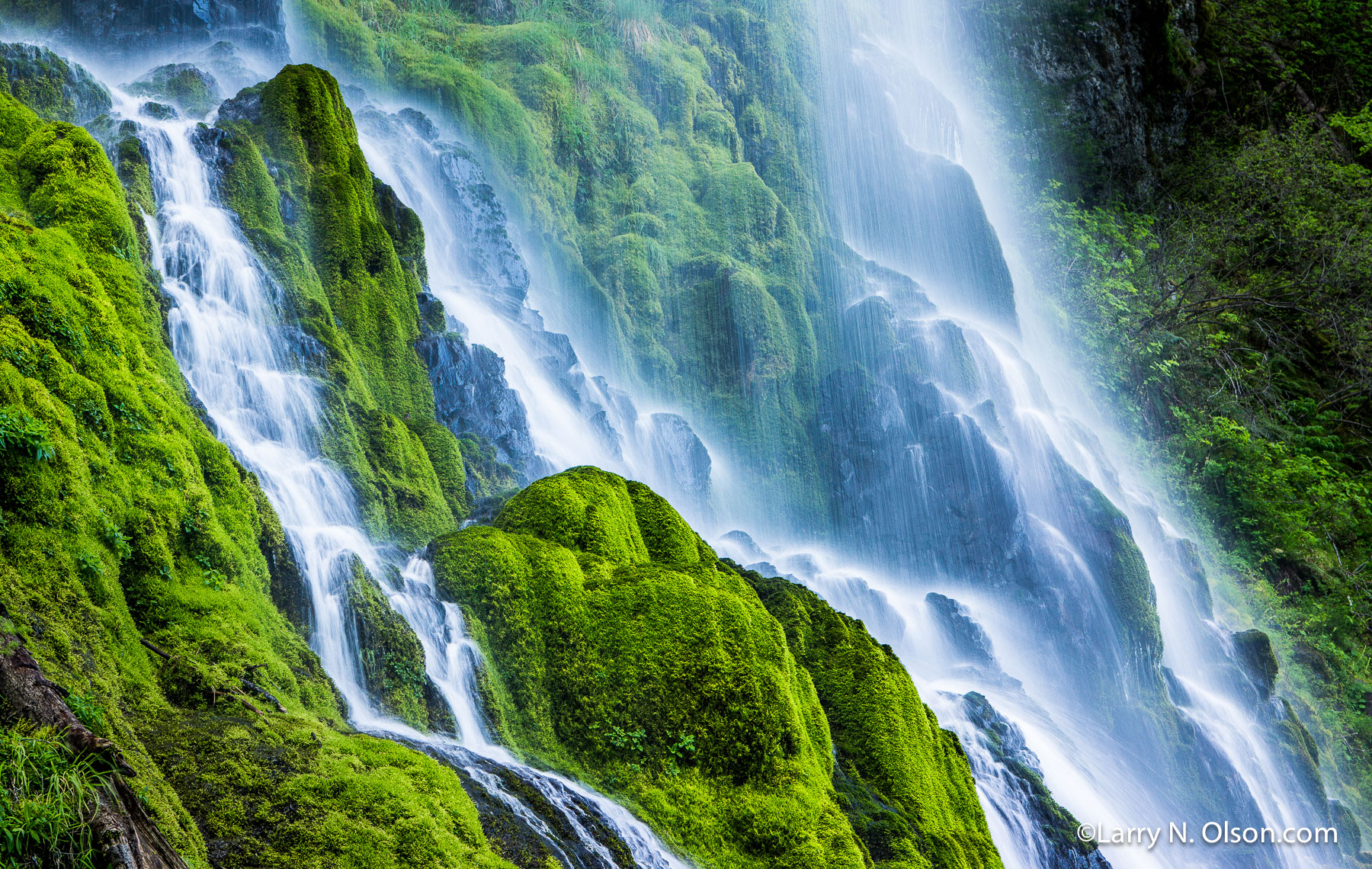 Lancaster Falls, Columbia River Gorge, OR | Mosses cover the basalt  where the waterfall does not tear it away.