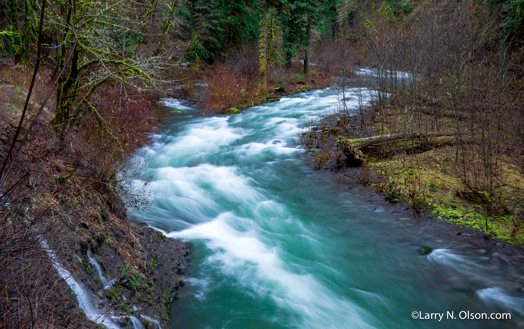 Eagle Creek, Columbia River Gorge, Oregon | 