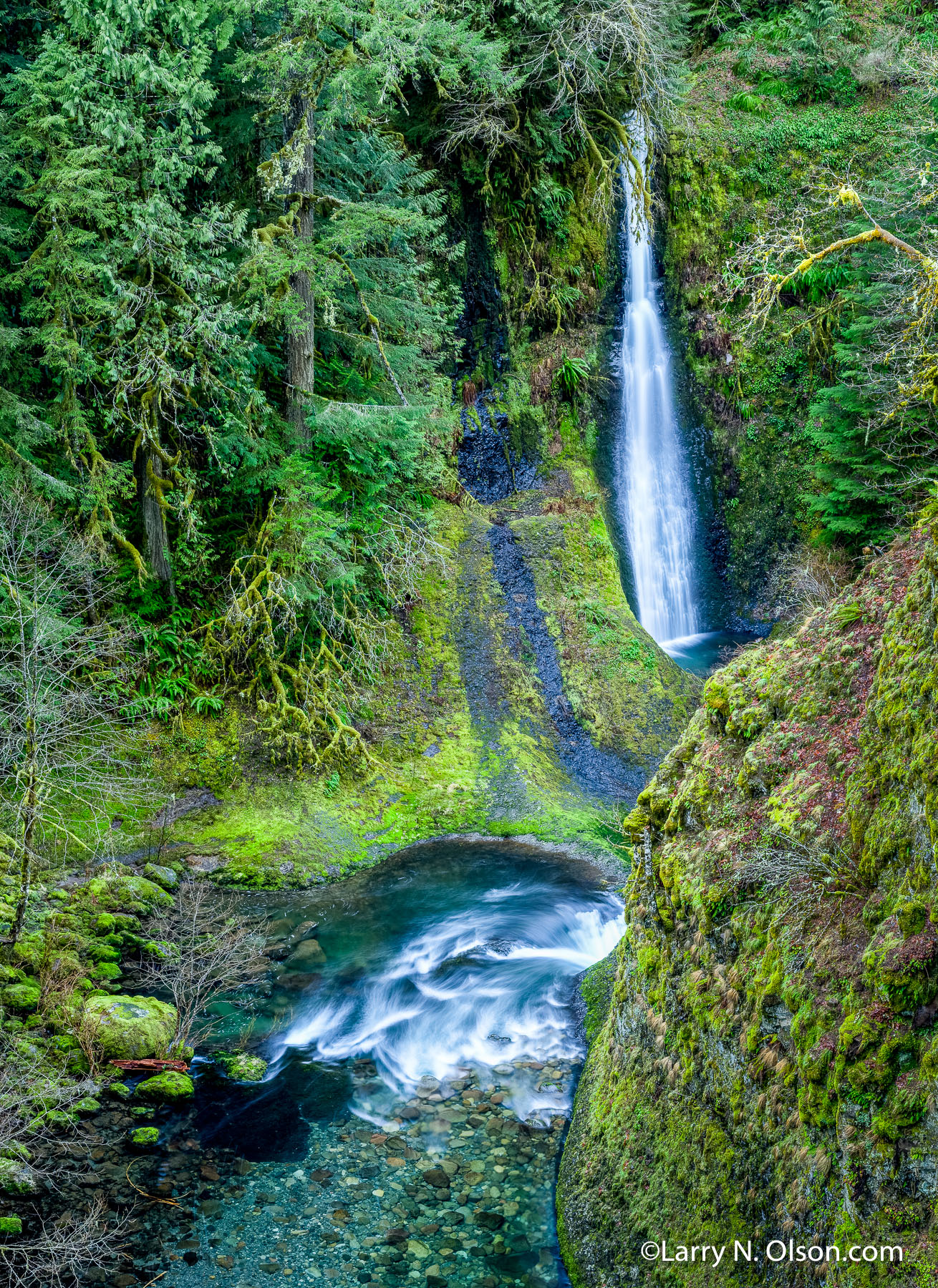 Eagle Creek, Columbia River Gorge, Oregon | 