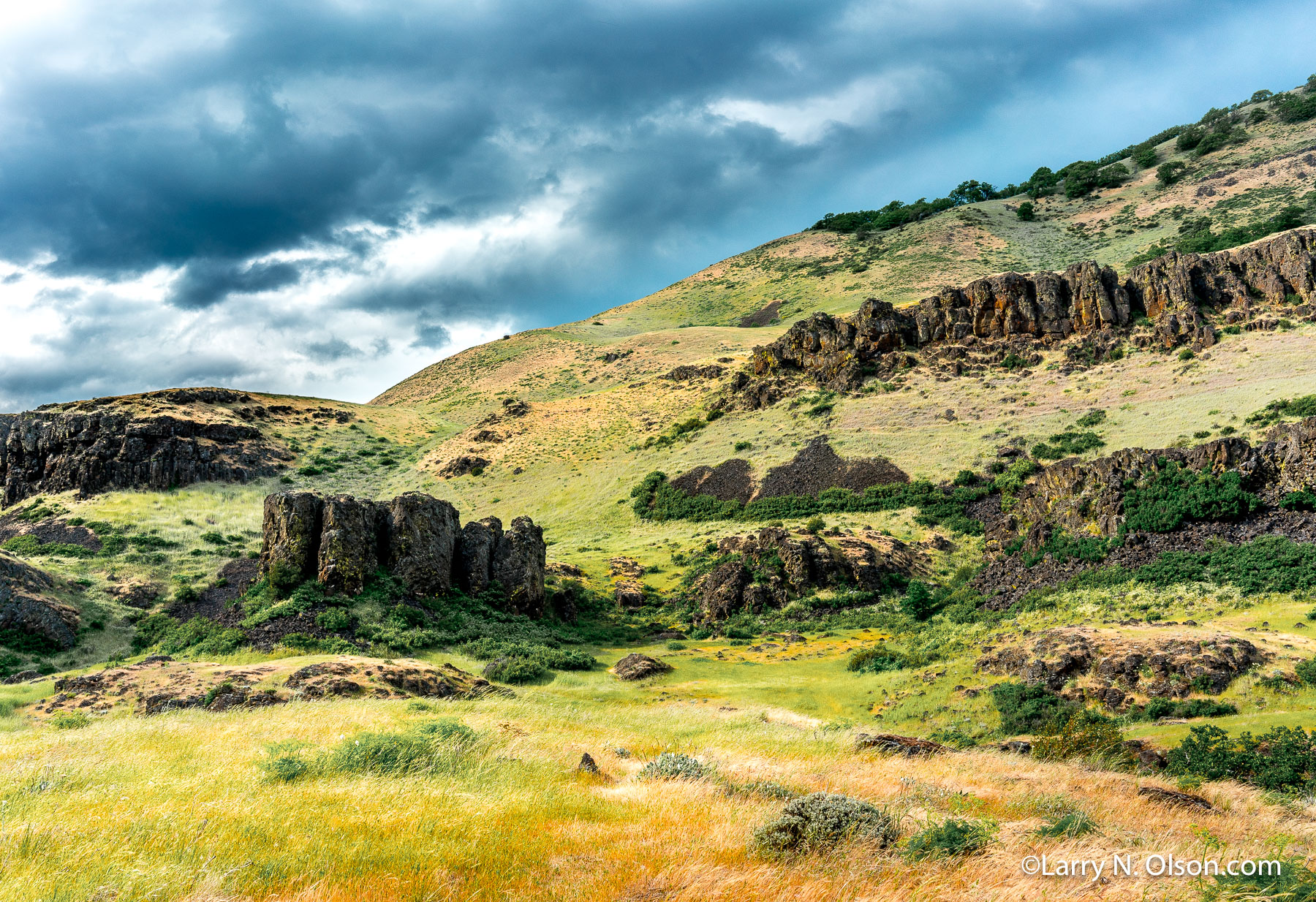 Columbia Hills, Columbia River Gorge | 