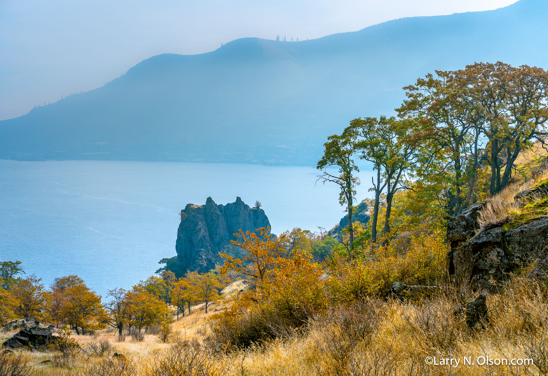 Oaks, Columbia River, Washington | Columbia River seen from the Columbia Hills, Washington.