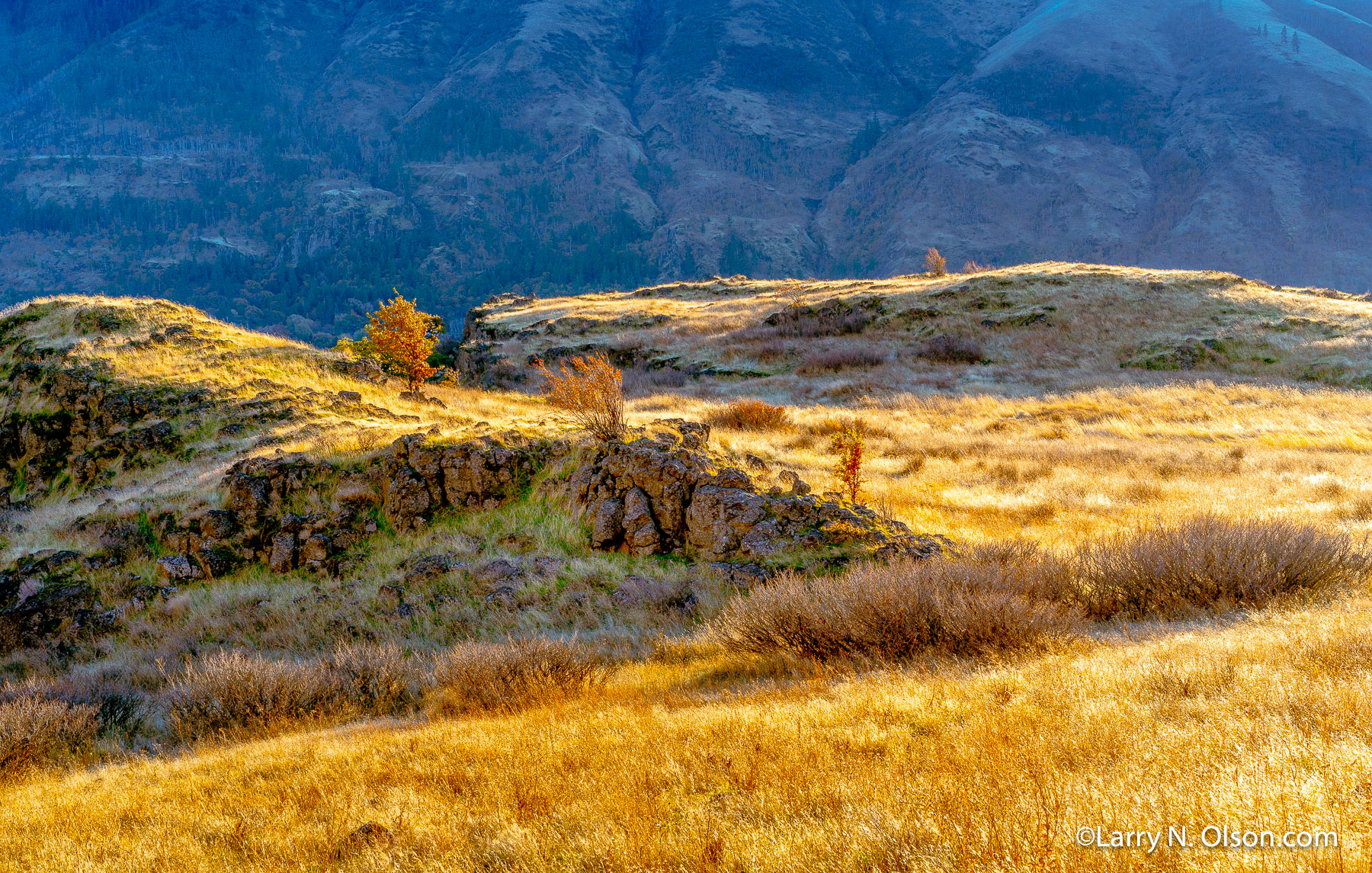 Columbia Hills, Columbia River Gorge, | 