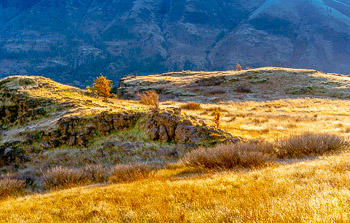 Columbia Hills, Columbia River Gorge, | 