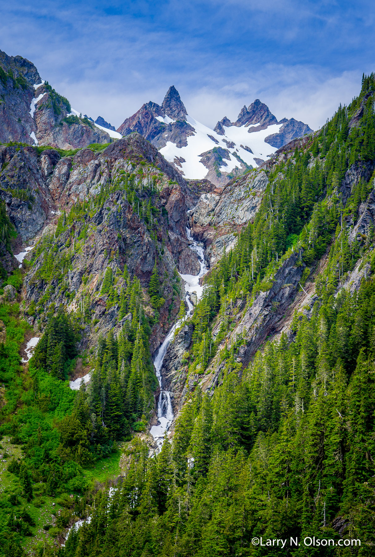 Enchanted Valley, Olympic National Park, WA | 