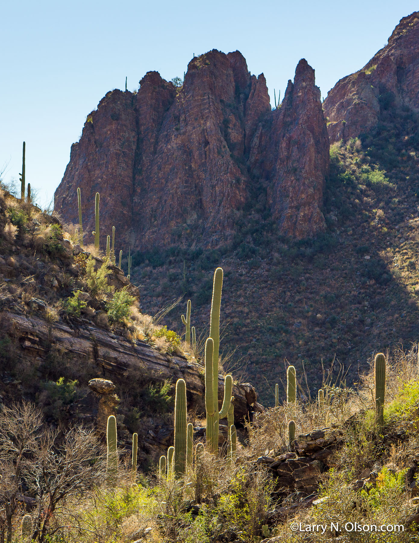 Catalina Moumtains, AZ | 