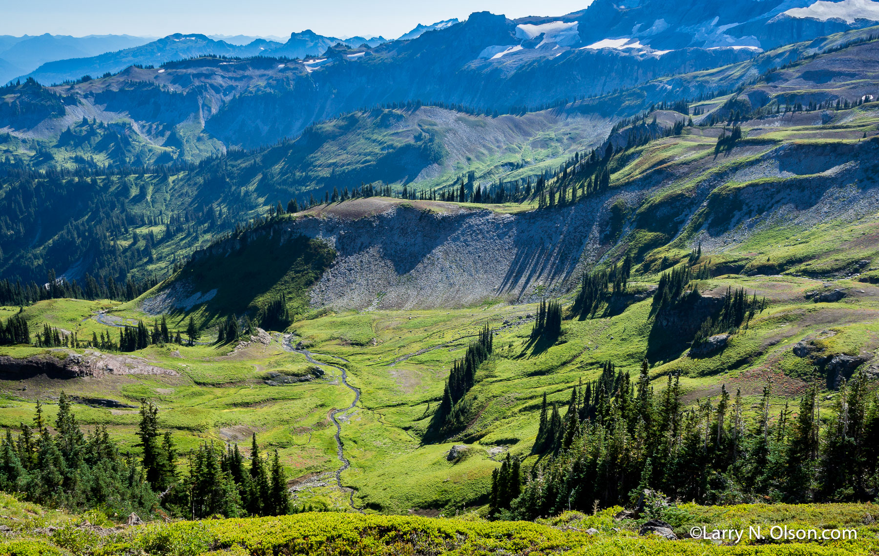 Ohanapecosh Park, Mount Rainier, WA | 