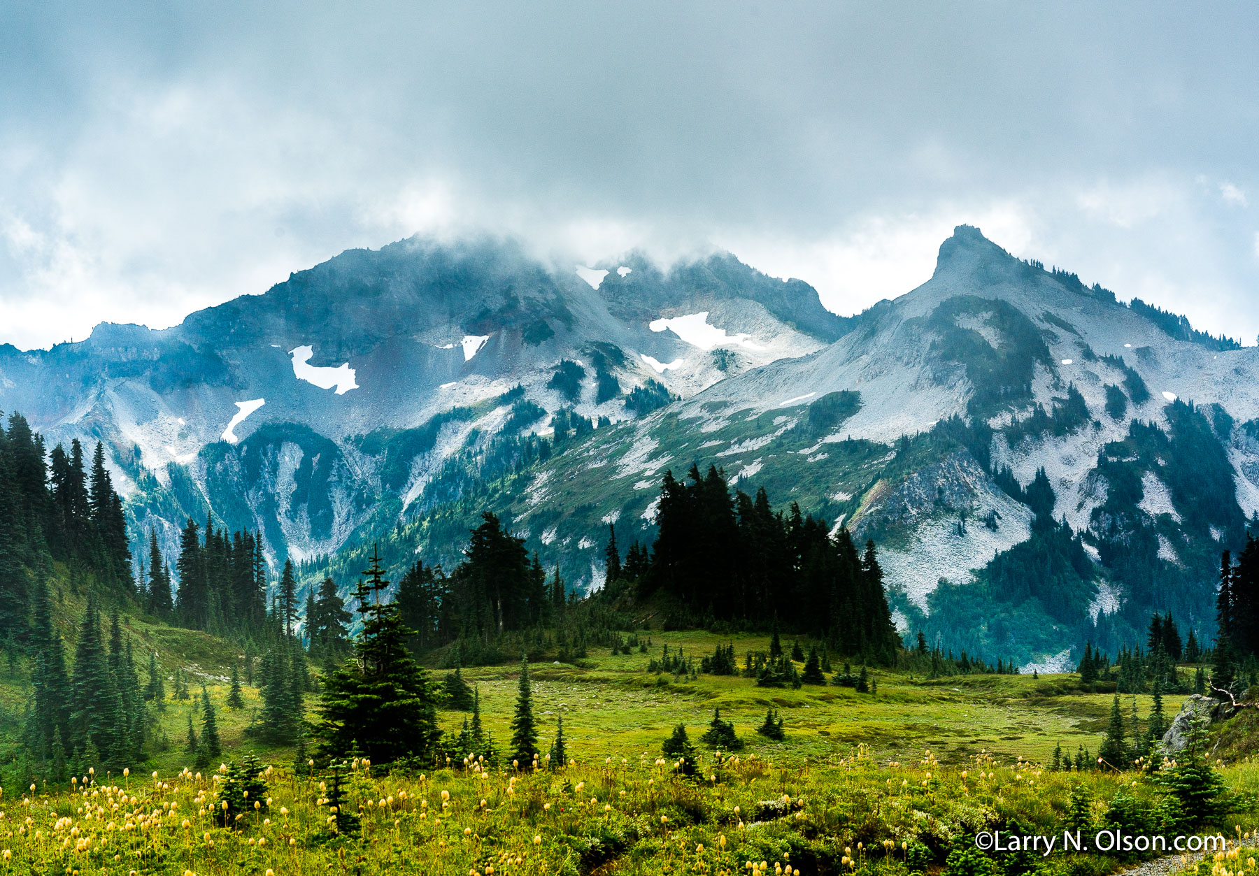 Tatoosh Range, Mount Rainier National Park, Washington | 