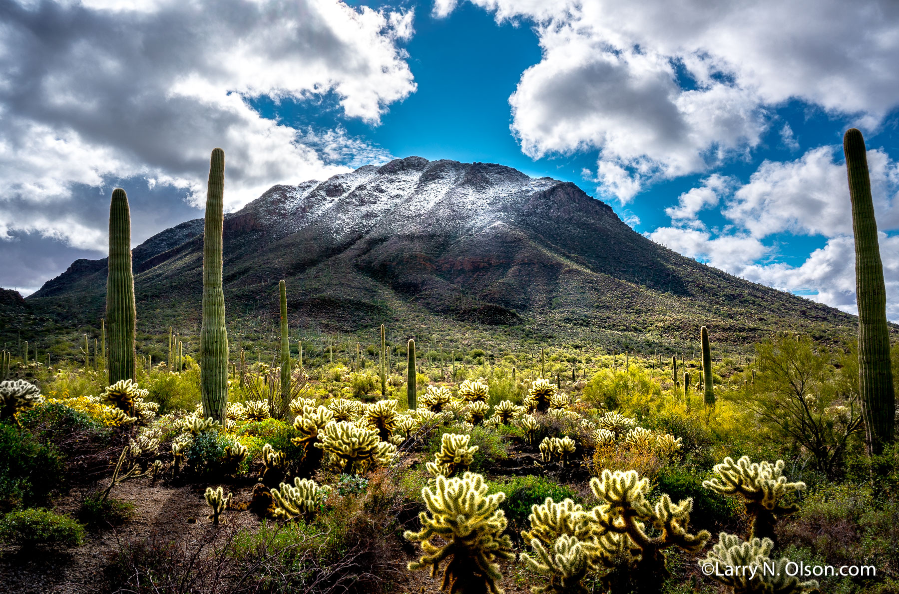 Golden Gate Mountain, Arizona | 