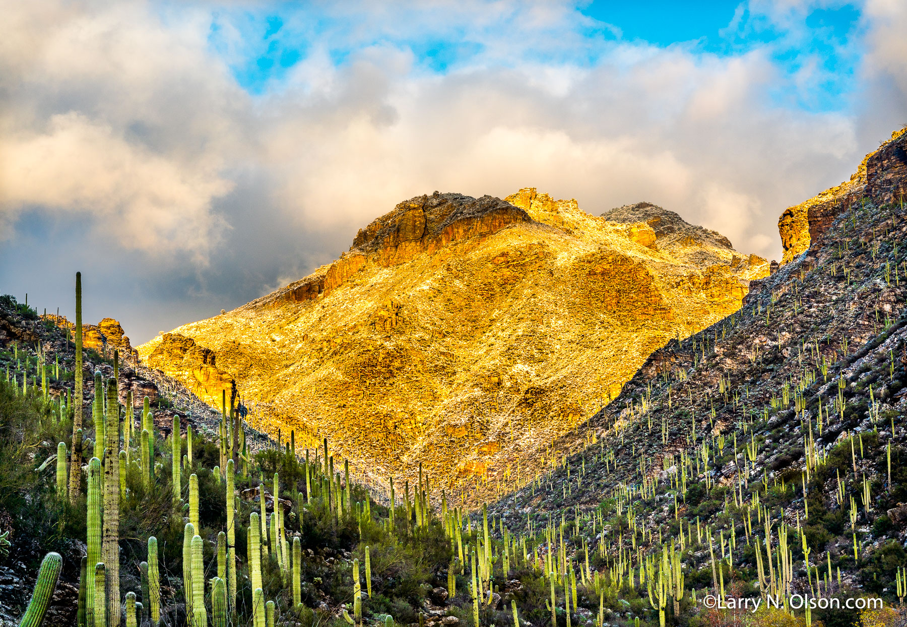 Bear Canyon,  Sabino Canyon, Tuscon, AZ | 